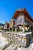 Horreos (granary), Combarro, Galicia, Spain, Europe