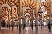 Mosque (Mezquita), Cordoba, UNESCO World Heritage Site, Andalusia, Spain, Europe