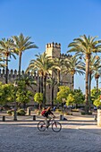 Alcazar de los Reyes Cristianos, Cordoba, UNESCO World Heritage Site, Andalusia, Spain, Europe