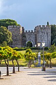 Castle of Vila Vicosa, Vila Vicosa, Evora district, Alentejo, Portugal, Europe