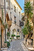 Saint-Paul-de-Vence,Provence-Alpes-Cote d'Azur,Frankreich,Europa