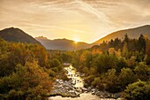 Melezzo river, among the landscapes of the painter Carlo Fornara, path, Prestinone, Valle Vigezzo, Val d'Ossola, Verbania, Piedmont, Italy, Europe