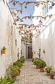 Corte dei Migliore, old town, Mesagne, Brindisi, Salento, Apulia, Italy, Europe