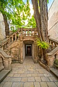 Municipal Library, old town, Gallipoli, Lecce, Salento, Apulia, Italy, Europe