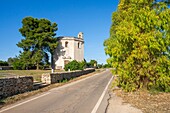 Church of Our Lady of Constantinople, Tricase, Lecce, Salento, Apulia, Italy, Europe