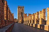 Castelvecchio und Castelvecchio-Brücke,Verona,UNESCO-Welterbestätte,Venetien,Italien,Europa