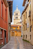 Calle Damaso Merino, Leon, Castile and Leon, Spain, Europe