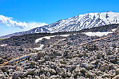 View of lava fields and snow-capped peaks in the distance, Etna, Sicily, Italy, Mediterranean, Europe