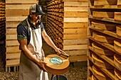 Reres Diemoz farm, Fontina cheese, Localita Champ D'Hone, Valle d'Aosta, Italy, Europe