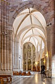 Cathedral of Santa Maria, Murcia, autonomous community of Murcia, Spain, Europe