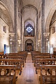 Gotischer Kreuzgang der Kathedrale von Porto (Se do Porto),römisch-katholische Kathedrale,UNESCO-Welterbe,Porto (Oporto),Norte,Portugal,Europa