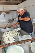 Ricotta processing, Masseria Brusca, Nardo, Lecce, Salento, Apulia, Italy, Europe