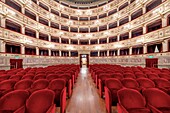 Eagle Theater (Teatro dell'Aquila), Fermo, Ascoli Piceno, Marche, Italy, Europe