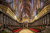 Santa MarAdz?a De Leon Cathedral, Leon, Castile and Leon, Spain, Europe