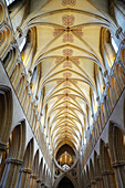 Wells Cathedral,eine anglikanische Kathedrale aus dem 12. Jahrhundert,die dem Heiligen Apostel Andreas geweiht ist,Sitz des Bischofs von Bath und Wells,Wells,Somerset,England,Vereinigtes Königreich,Europa