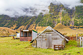 View of the potato patch on Tristan da Cunha, the most remote inhabited location on Earth, Tristan da Cunha, South Atlantic Ocean