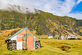 View of the potato patch on Tristan da Cunha, the most remote inhabited location on Earth, Tristan da Cunha, South Atlantic Ocean