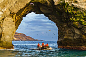 Eine Zodiac-Tour in der Morgendämmerung zur Boatswain Bird Insel vor Ascension Island im südlichen tropischen Atlantik,Südatlantik