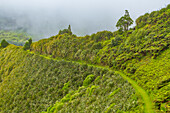 Blick vom Weg des Diana's Peak Nationalparks auf St. Helena,Südatlantik