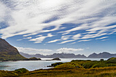 Views of Fortuna Bay on the northern coast of South Georgia, Southern Ocean, Polar Regions