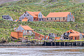 Views of the abandoned whaling station in Prince Olav Harbor on South Georgia, Southern Ocean, Polar Regions