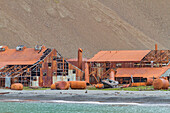 Views of the abandoned whaling station in Stromness Bay on South Georgia, Southern Ocean, Polar Regions