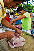 Szene auf dem Fischmarkt in der Hafenstadt Puerto Ayora,Insel Santa Cruz,Galapagos-Inseln,UNESCO-Welterbe,Ecuador,Südamerika