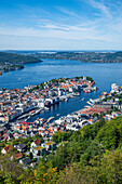 Blick über die UNESCO-Welterbestätte,Bergen,Vestland,Norwegen,Skandinavien,Europa