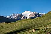 Snow-capped peaks rise above green valleys in beautiful Kyrgyzstan, Central Asia, Asia