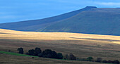 Looking towards Pen-y-Fan, Brecon Beacons, Powys, Wales, United Kingdom, Europe