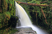 Sgwd Clun-Gwyn Wasserfall,Ystradfellte,Brecon Beacons,Powys,Wales,Vereinigtes Königreich,Europa