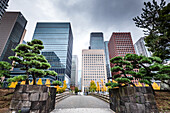 Old Edo Castle walls and skyscrapers on an overcast autumn day with yellow leaves in Fall, Tokyo, Honshu, Japan, Asia