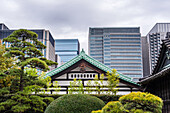 Herbstliche Blätter und Wolkenkratzer im Zentrum von Tokio,mit traditionellen Tempeldächern vor modernen Gebäuden,Tokio,Honshu,Japan,Asien