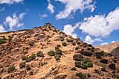 Schroffes,trockenes Gebirgstal der Sierra Nevada,Andalusien,Spanien,Europa