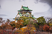 Burg Osaka mit herbstlichen Bäumen,Osaka,Honshu,Japan,Asien