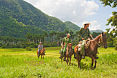 Förster auf Patrouille,Pan de Azucar,Vinales-Nationalpark,UNESCO-Welterbe,Pinar del Rio,Kuba,Westindische Inseln,Karibik,Mittelamerika