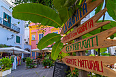 View of colourful shops and bars on Via San Francisco, Forio, Island of Ischia, Campania, Italy, Europe