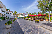 Blick auf ein Restaurant auf dem Corso Vittoria Colonna in Porto d'Ischia (Hafen von Ischia),Insel Ischia,Kampanien,Italien,Europa