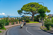 Blick auf das Castello Aragonese d'Ischia von Porto d'Ischia (Hafen von Ischia),Insel Ischia,Kampanien,Italien,Europa