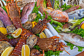 View of fresh fish at restaurant in Porto d'Ischia at sunset, Port of Ischia, Island of Ischia, Campania, Italy, Europe