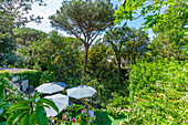 View of tearoom in Giardini la Mortella Botanical Garden, Forio, Island of Ischia, Campania, Italy, Europe