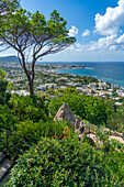 Blick auf die tropische Flora in den Botanischen Gärten Giardini la Mortella und Forio im Hintergrund,Forio,Insel Ischia,Kampanien,Italien,Europa