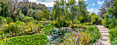 View of tropical flora in Giardini la Mortella Botanical Gardens, Forio, Island of Ischia, Campania, Italy, Europe