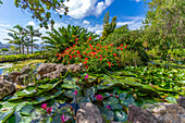 View of tropical flora in Giardini la Mortella Botanical Gardens, Forio, Island of Ischia, Campania, Italy, Europe