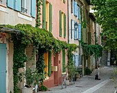 Puyloubier, Bouches du Rhone, Provence Alpes Cote d'Azur, France, Europe
