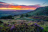 View of landscape from Curbar Edge with purple flowering heather at sunset, Peak District National Park, Baslow, Derbyshire, England, United Kingdom, Europe