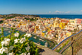 Blick von erhöhter Position auf Marina di Corricella,Procida,Phlegräische Inseln,Golf von Neapel,Kampanien,Süditalien,Italien,Europa