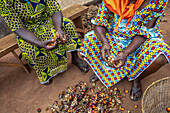 Villagers processing palm fruit for oil in Dokoue, Benin, West Africa, Africa