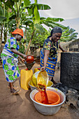 Villagers making palm oil in Dokoue, Benin, West Africa, Africa