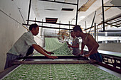 Batik factory, Sondakan district, Solo (Surakarta), Java island, Indonesia, Southeast Asia, Asia